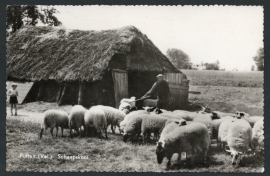 PUTTEN (Vel.), Schaapskooi. Gelopen kaart.