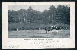 LOCHEM, Berggezicht bij Hotel Dollehoed. Gelopen kaart.