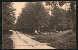 LUNTEREN, Weg naar het sanatorium. Gelopen kaart.