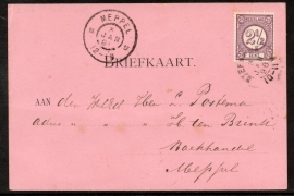 Briefkaart met kleinrondstempel STEENWIJK naar MEPPEL.
