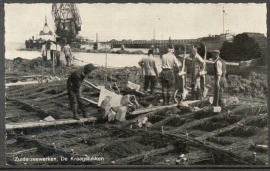 FLEVOLAND. Zuiderzeewerken, De Kraagstukken. Ongelopen kaart.