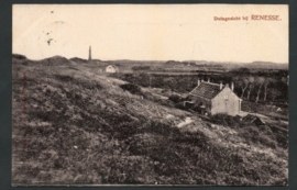 RENESSE, Duingezicht bij Renesse. Gelopen fotokaart.