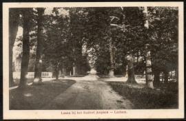 LOCHEM, Lanen bij het Kasteel Ampsen. Ongelopen kaart.