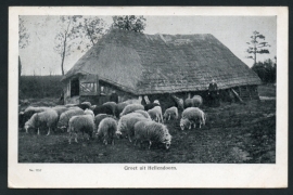 HELLENDOORN, Groet uit Hellendoorn. Gelopen kaart.