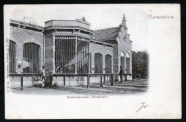 ROTTERDAM, Rotterdamsche Diergaarde. Gelopen kaart.