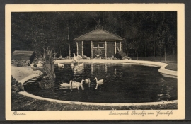 BAARN, Dierenpark. Boschje van IJsendijk. Gelopen kaart.