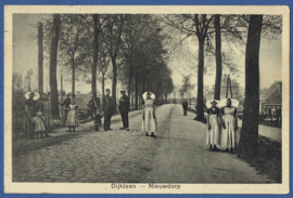 NIEUWDORP, Dijklaan. Ongelopen kaart.