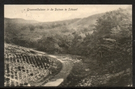 SCHOORL, Groeneveldslaan in de duinen te SCHOORL. Gelopen kaart.