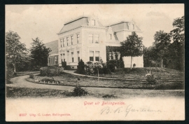 BELLINGWOLDE, Groet uit Bellingwolde. Gelopen kaart.