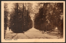 ASSEN, Asserbosch. Gelopen kaart.