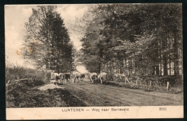 LUNTEREN, Weg naar Barneveld. Gelopen kaart.