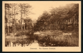OISTERWIJK, Van Esseven Oostzijde. Gelopen kaart.