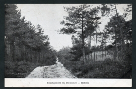 HATTEM, Bosgezicht bij Molecaten. Gelopen kaart.