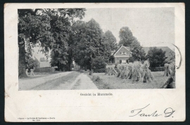 HUMMELO, Gezicht in Hummelo. Gelopen kaart.