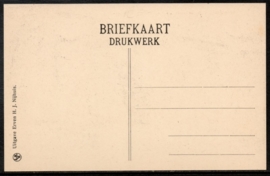 DELDEN, Oranjerie b/h kasteel Twickel. Ongelopen kaart.