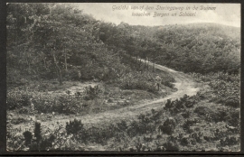 BERGEN en SCHOORL, Gezicht vanaf den Staringsweg in de duinen tusschen BERGEN en SCHOORL. Gelopen kaart.