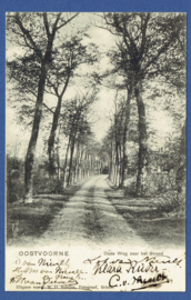 OOSTVOORNE, Oude Weg naar het Strand. Gelopen kaart.