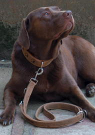 Greenburry Halsband Leer