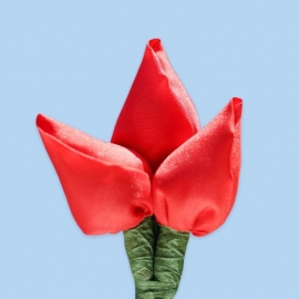 Tulp corsage rood