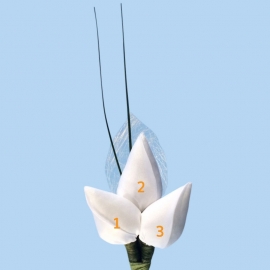 Tulp corsage met sizoflor blad en sprietjes - maatwerk