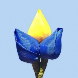 Tulp corsage blauw-geel-blauw