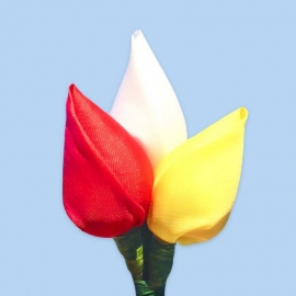 Tulp corsage rood-wit-geel 'Oeteldonk'