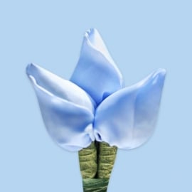 Tulp corsage zacht blauw