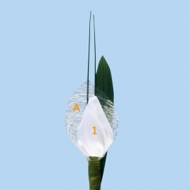 Tulp corsage enkel - maatwerk