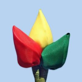 Tulp corsage rood-geel-groen