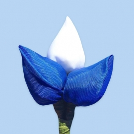 Tulp corsage blauw-wit-blauw