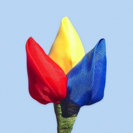 Tulp corsage rood-geel-blauw