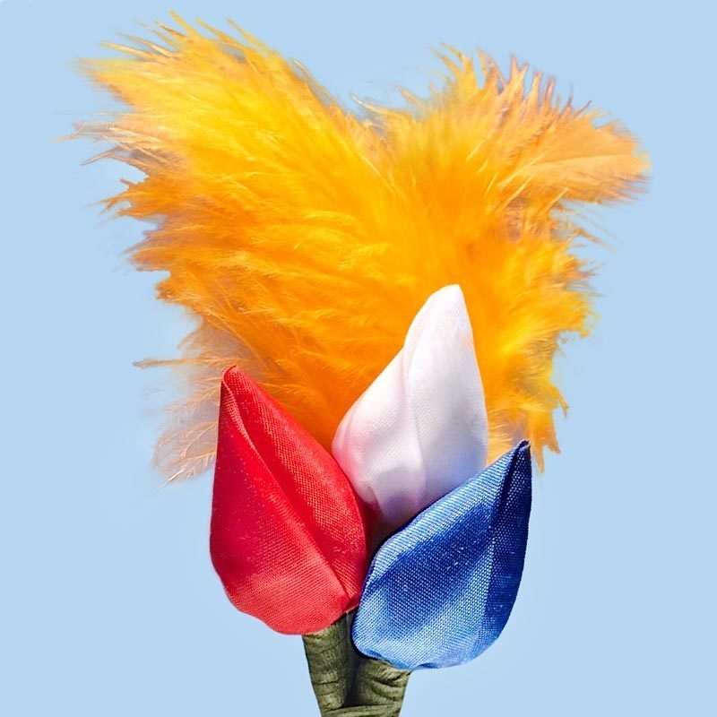 dronken Schouderophalend Sociale wetenschappen Tulp corsage rood-wit-blauw met veren | CORSAGE | Tulpjes