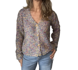 Vest lady glans || Azzurro mode || Paars