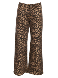 Jeans Leopard || Azzurro mode ||Print