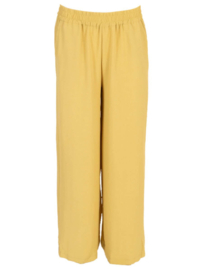 Azzurro soft flow Pants -Lime -9769