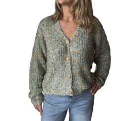 Vest lady glans || Azzurro mode || Groen