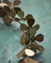 Krans, Clover, messing afwerking 13cm