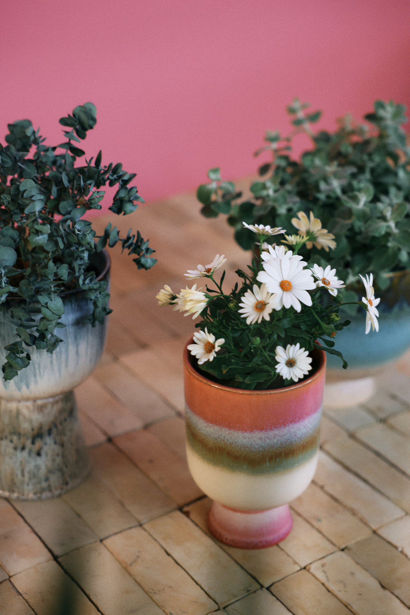 Flower pot retro rosefield