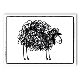 Schaap A5