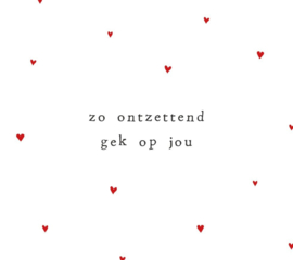 Zo ontzettend gek op jou (93)