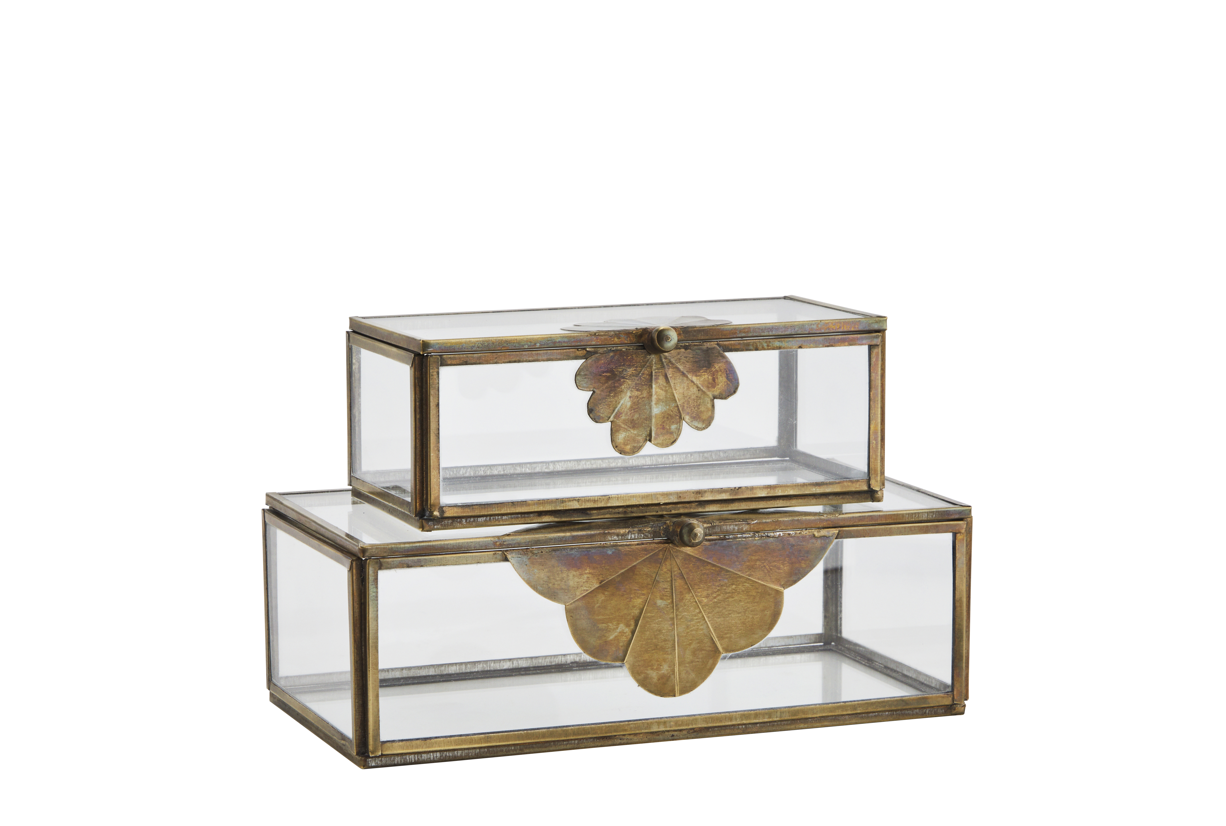 Glass box brass with leaves M