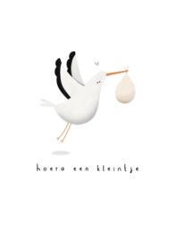 Hoera een kleintje (111)