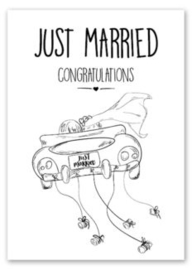 Just married... (16)