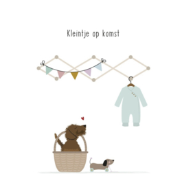 Kleintje op komst (117)