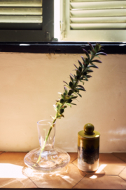 Vase carafe glass, clear