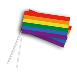Vlaggetje op stok regenboog
