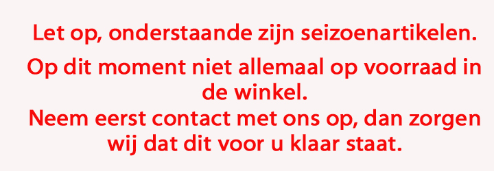 Wit Wit