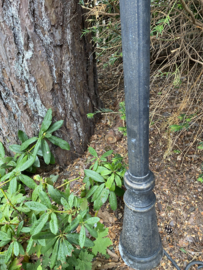 Antieke tuinlamp