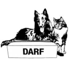 Darf