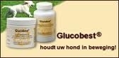 Glucobest